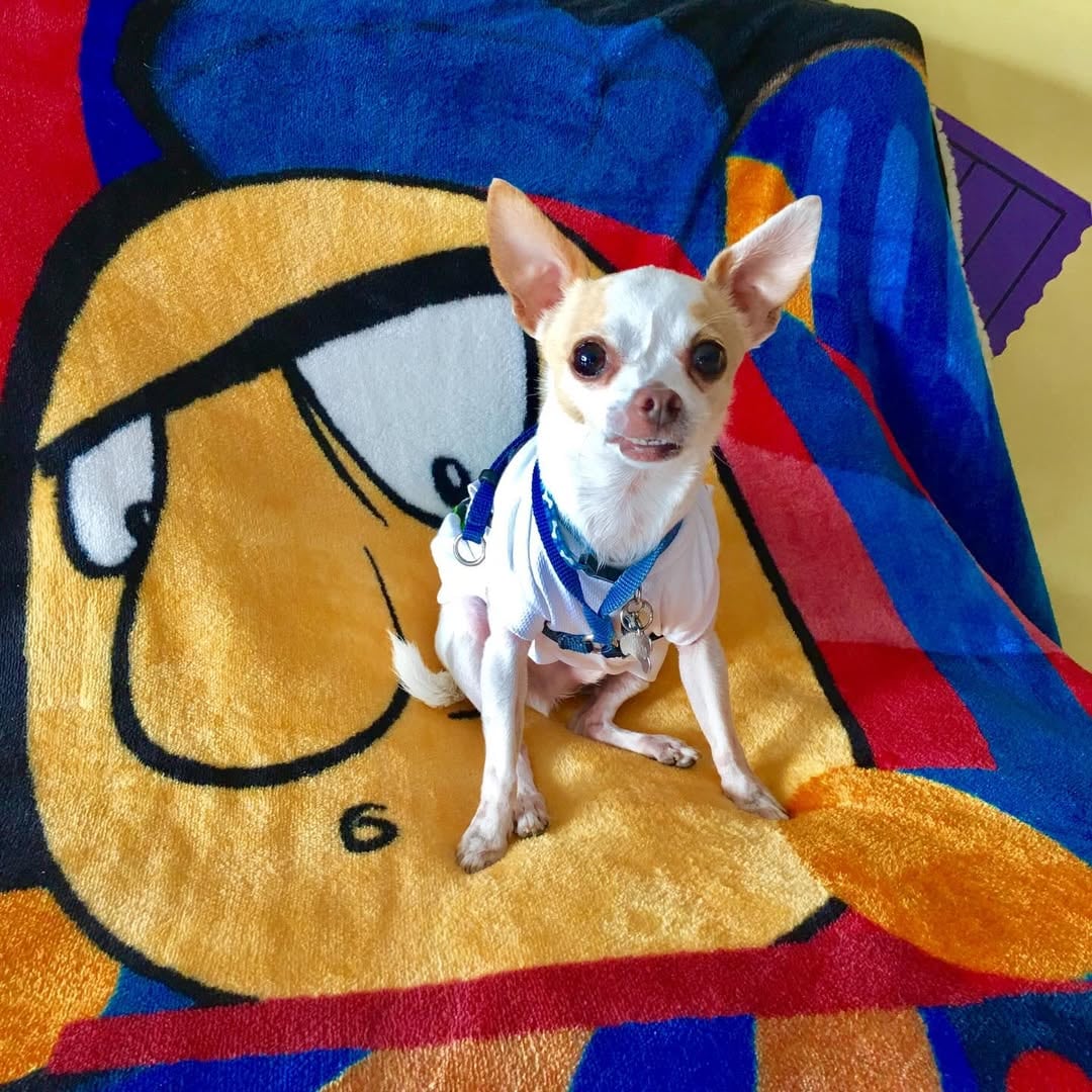Sandra Carvajal, vestuarista de Teletica, y su perro Gianni.