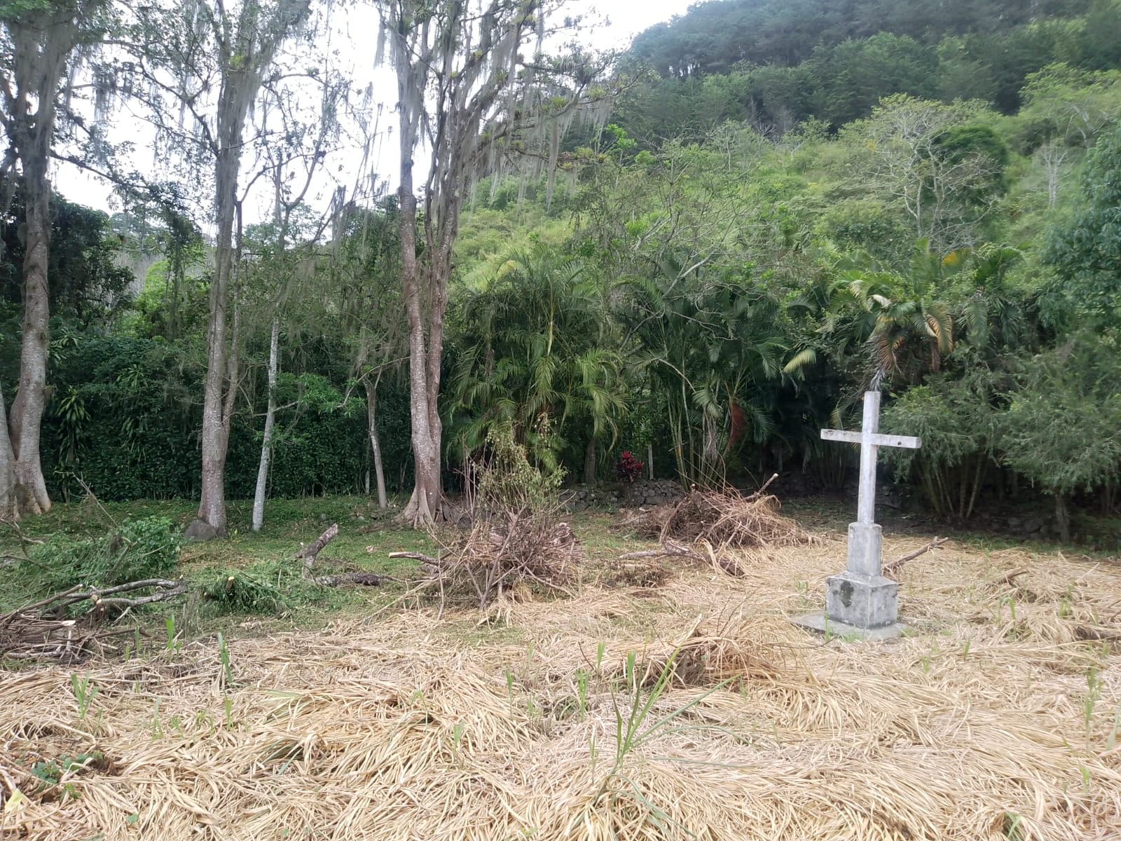Don Marco Solano Moya vive en Paraíso de Cartago y desde hace varios años está en una guerra sin cuartel con el objetivo de salvar un cementerio en el cual hay más de mil personas enterradas desde la época colonial