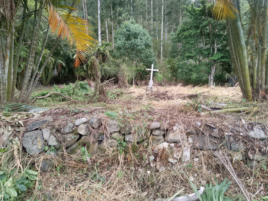 Don Marco Solano Moya vive en Paraíso de Cartago y desde hace varios años está en una guerra sin cuartel con el objetivo de salvar un cementerio en el cual hay más de mil personas enterradas desde la época colonial