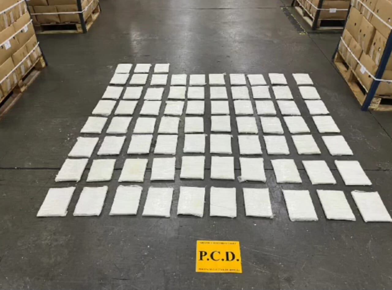 Un perro entrenado también dio una señala positiva sobre la presencia de drogas en el contenedor.