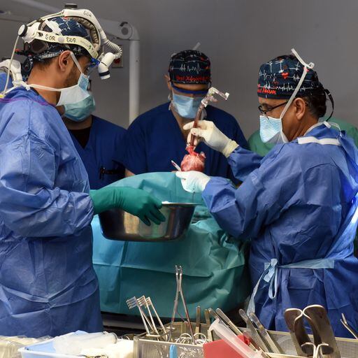 Fotografía: Centro Médico de la Universidad de Maryland