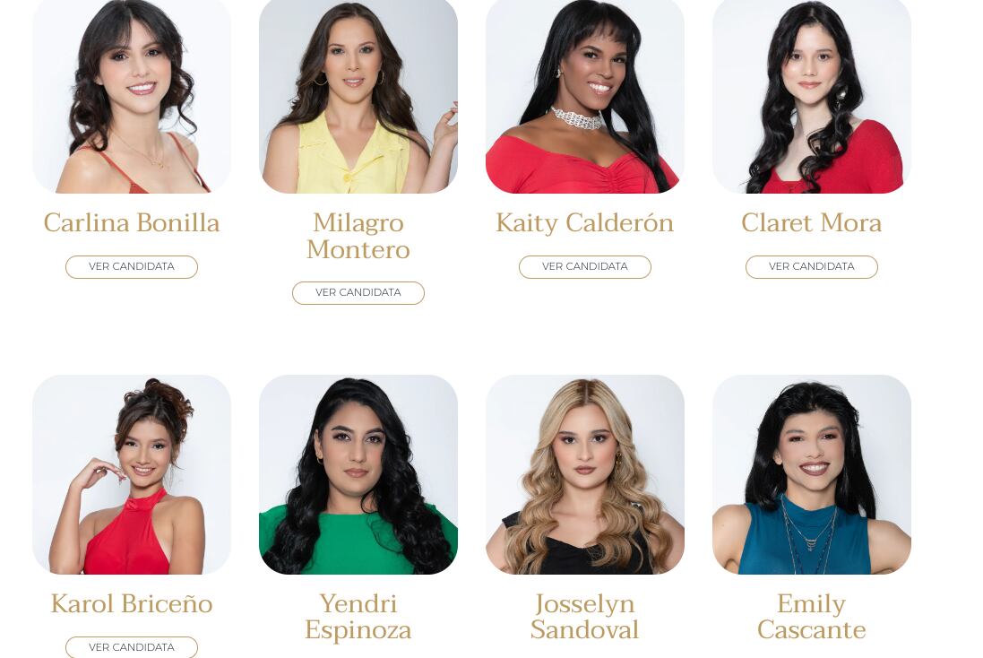 Miss Universe Costa Rica 2024
Miss Costa Rica 2024