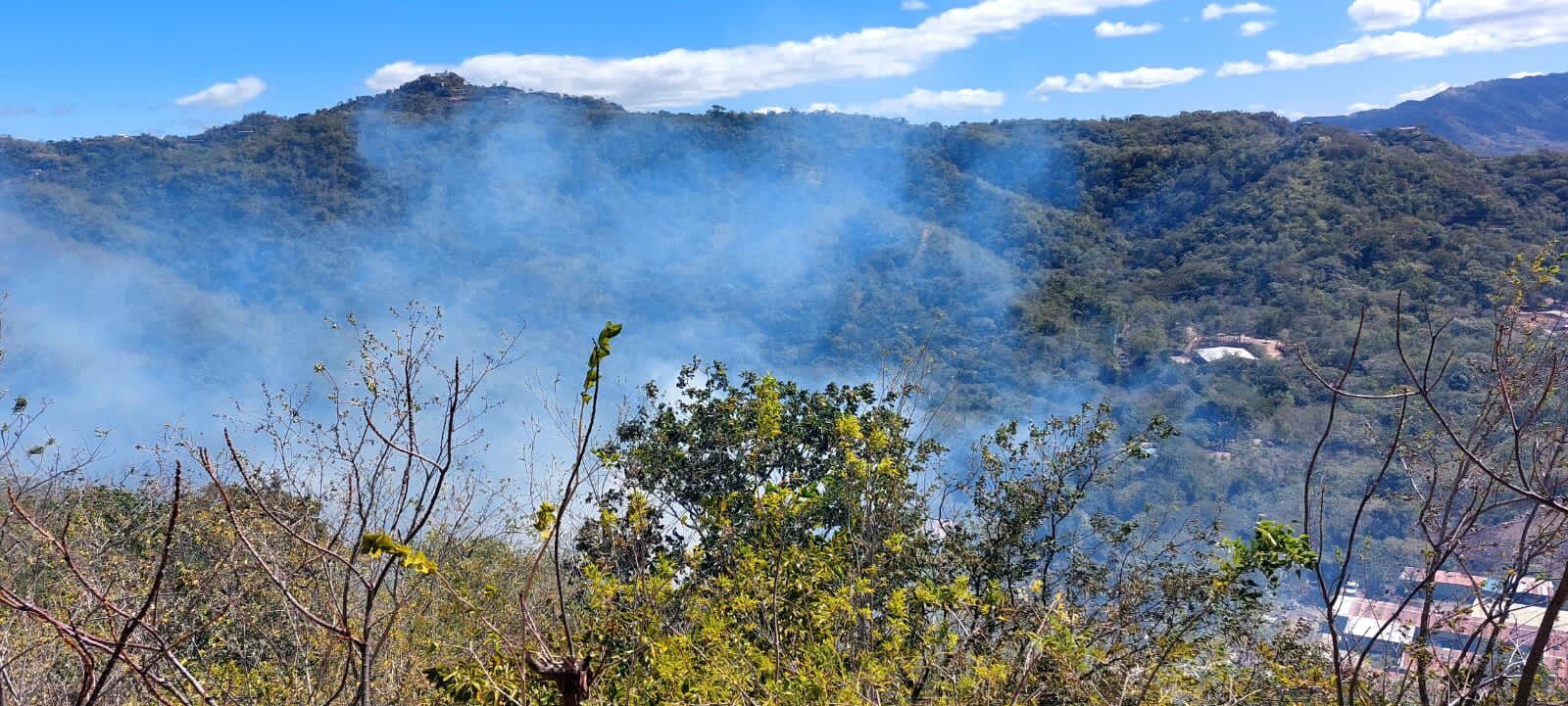 Incendio Forestal, Guanacaste, Santa Cruz, Tempate, playa Danta, en Las Catalinas.