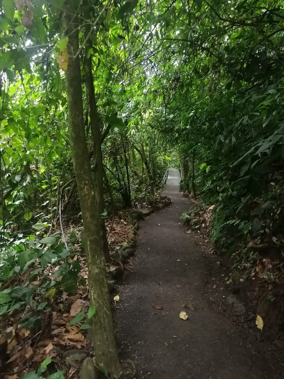 Mariposas, senderos y mucho más lo esperan en mágica catarata por dos mil colones.