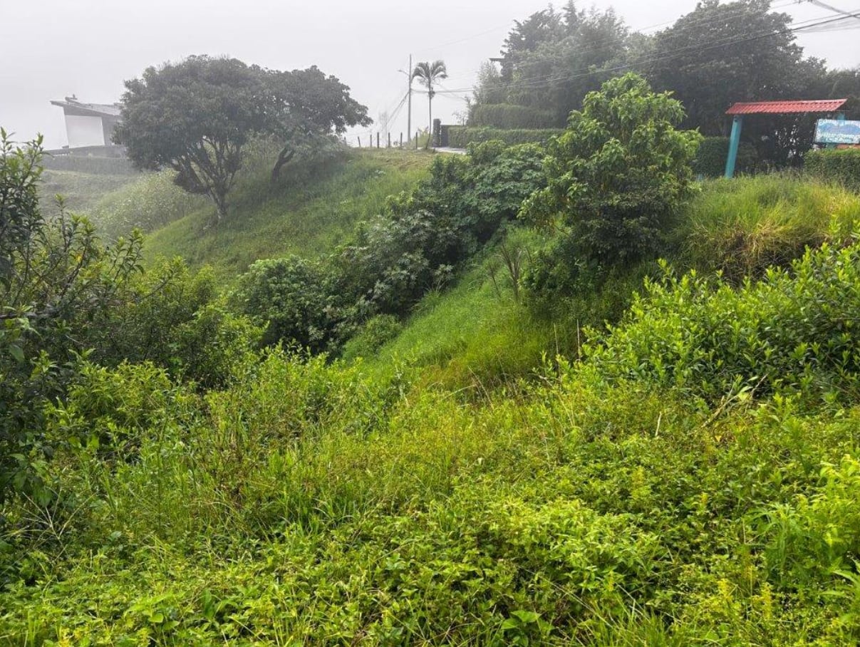 Banco de Costa Rica tiene varios terrenos y casas disponibles a la venta con descuentos.