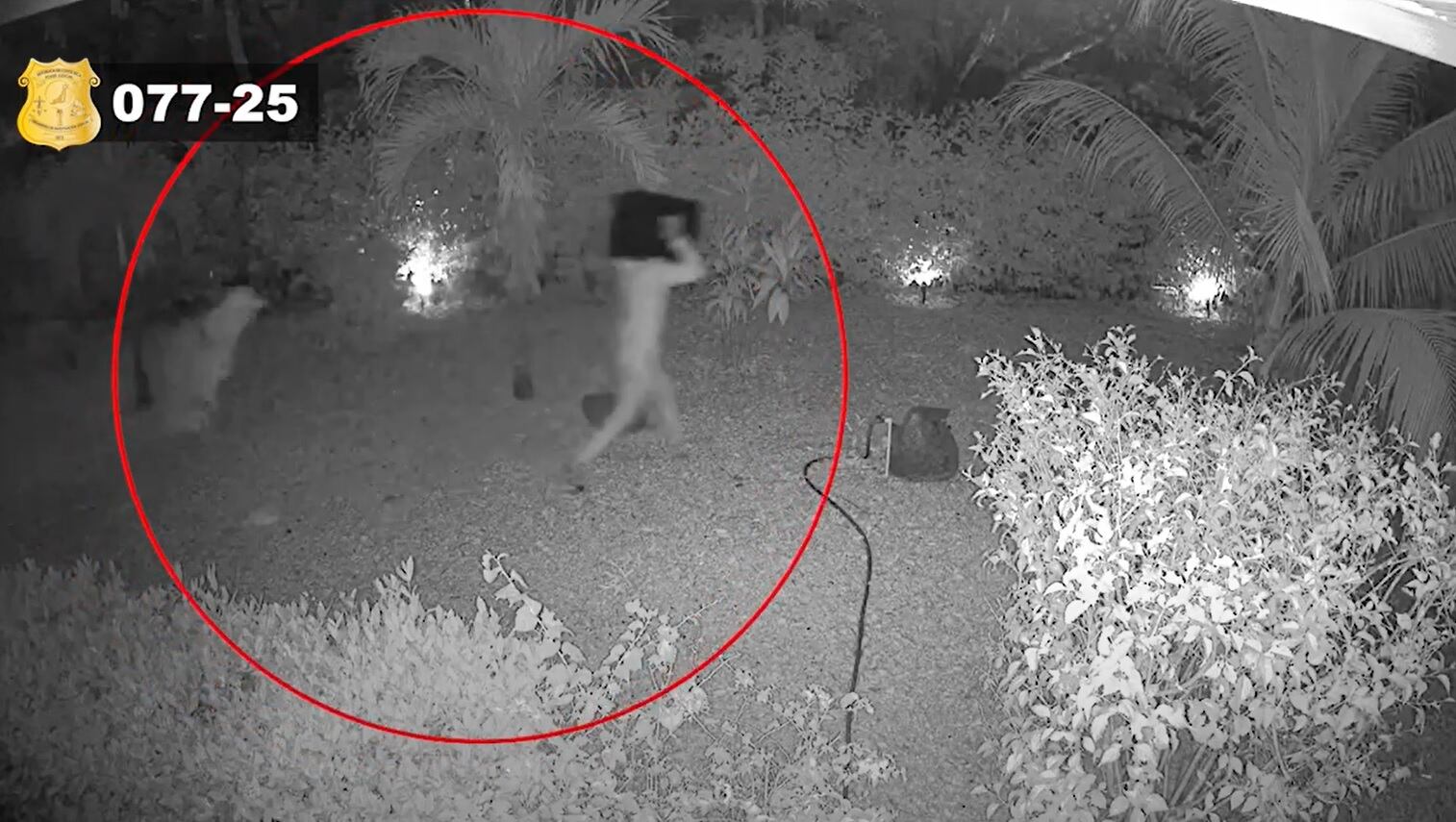 Sospechosos de asesinar a francés en Guanacaste. Foto OIJ.