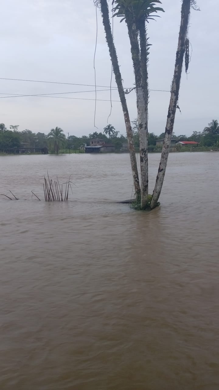 Dora Vanegas revisa el nivel del río Sarapiquí durante la noche.