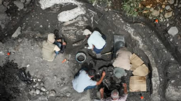 ¡Hallazgo histórico en Cartago! Descubren restos de un mastodonte y un perezoso gigante