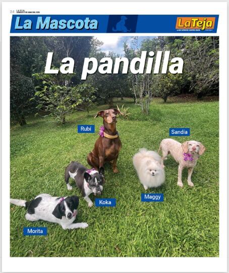 Mascotas La Teja.