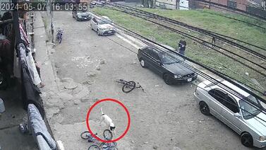 ¿Se acuerda de Marshall, el perrito al que un policía habría disparado? Tenemos buenas noticias