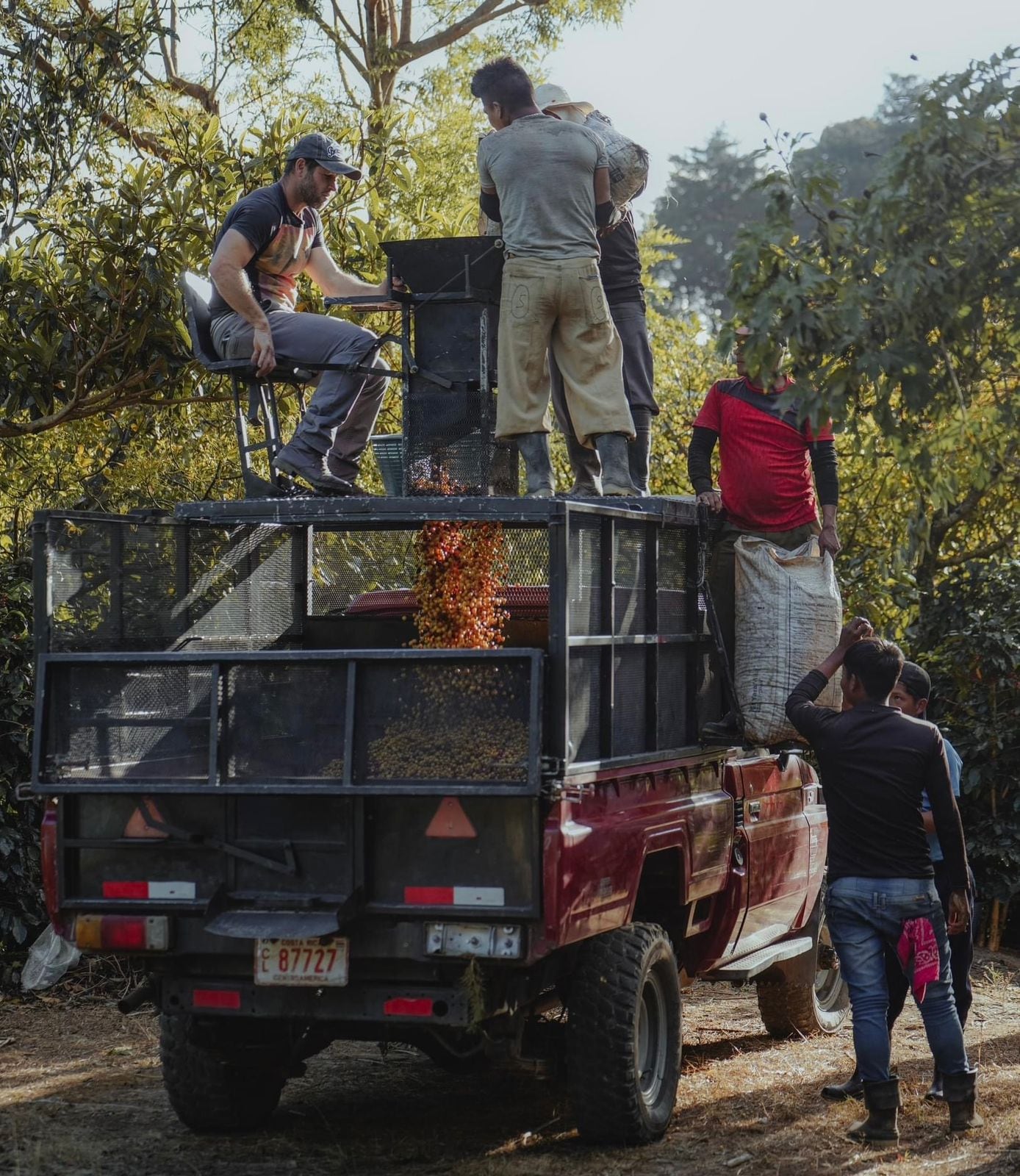 Este fin de semana en Dota se celebrará la IV Edición de la Fiesta de la Apertura de la Cosecha. (Cortesía)