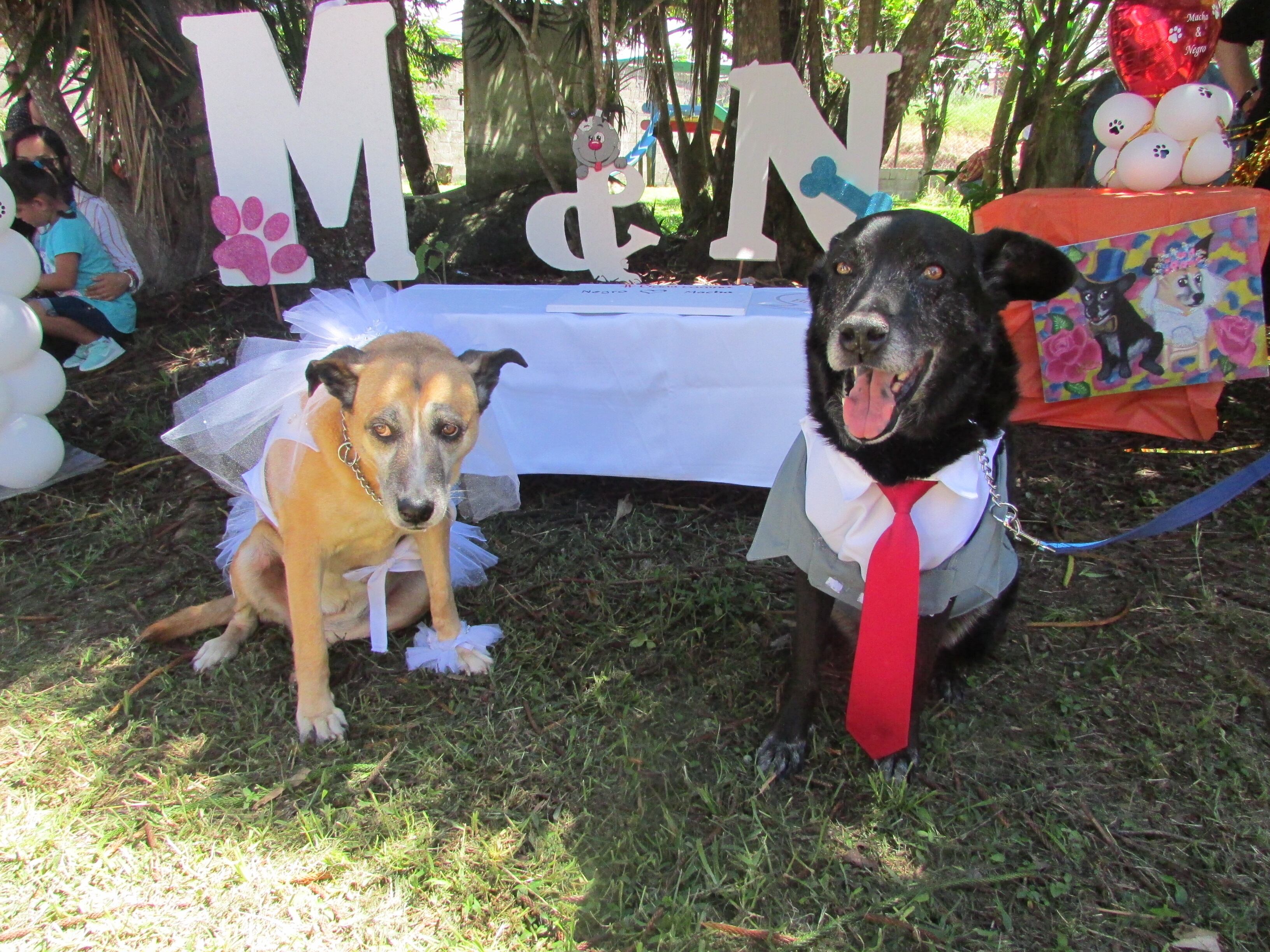 Macha y Negro se casaron el 2 de junio del 2019