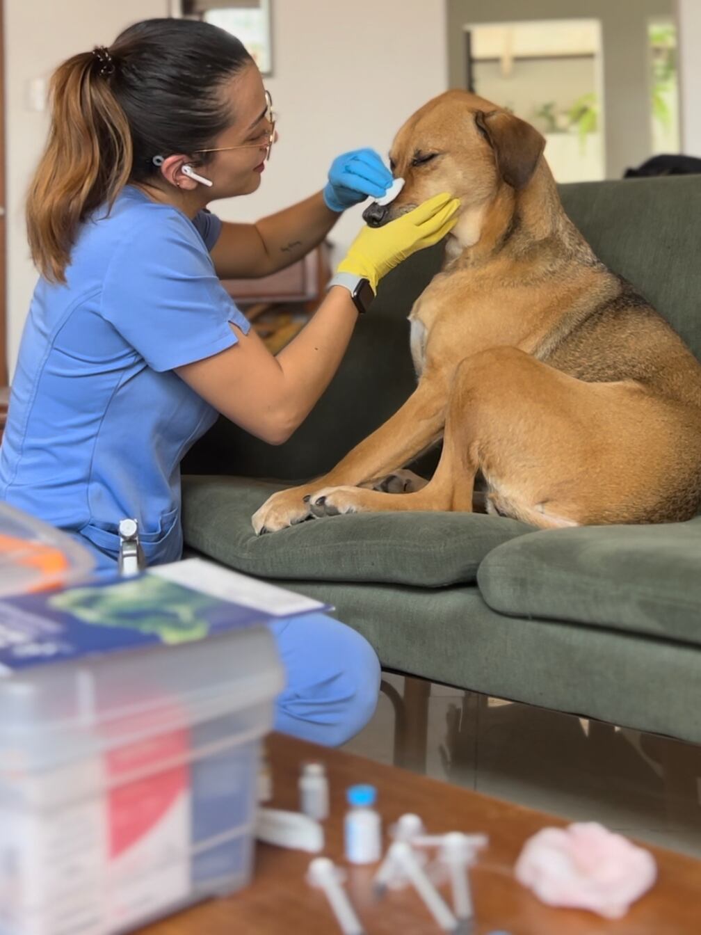 ¿Tiene una mascota en su casa? Si su respuesta es sí, pues déjenos decirle que entonces también debe tener un botiquín con medicamentos especiales para esa mascota, según nos lo confirma la doctora en veterinaria, Catalina Barquero Hernández