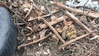 Hombre en Pensilvania robaba tumbas y abusaba de cadáveres: Hallan restos humanos en su casa