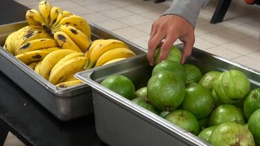 Más de 200 centros educativos no van a cerrar sus comedores en vacaciones