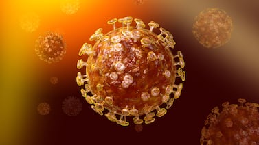 Epidemiólogo:”A la gente se le olvidó que hubo pandemia y se le olvidó que los virus respiratorios siguen circulando”