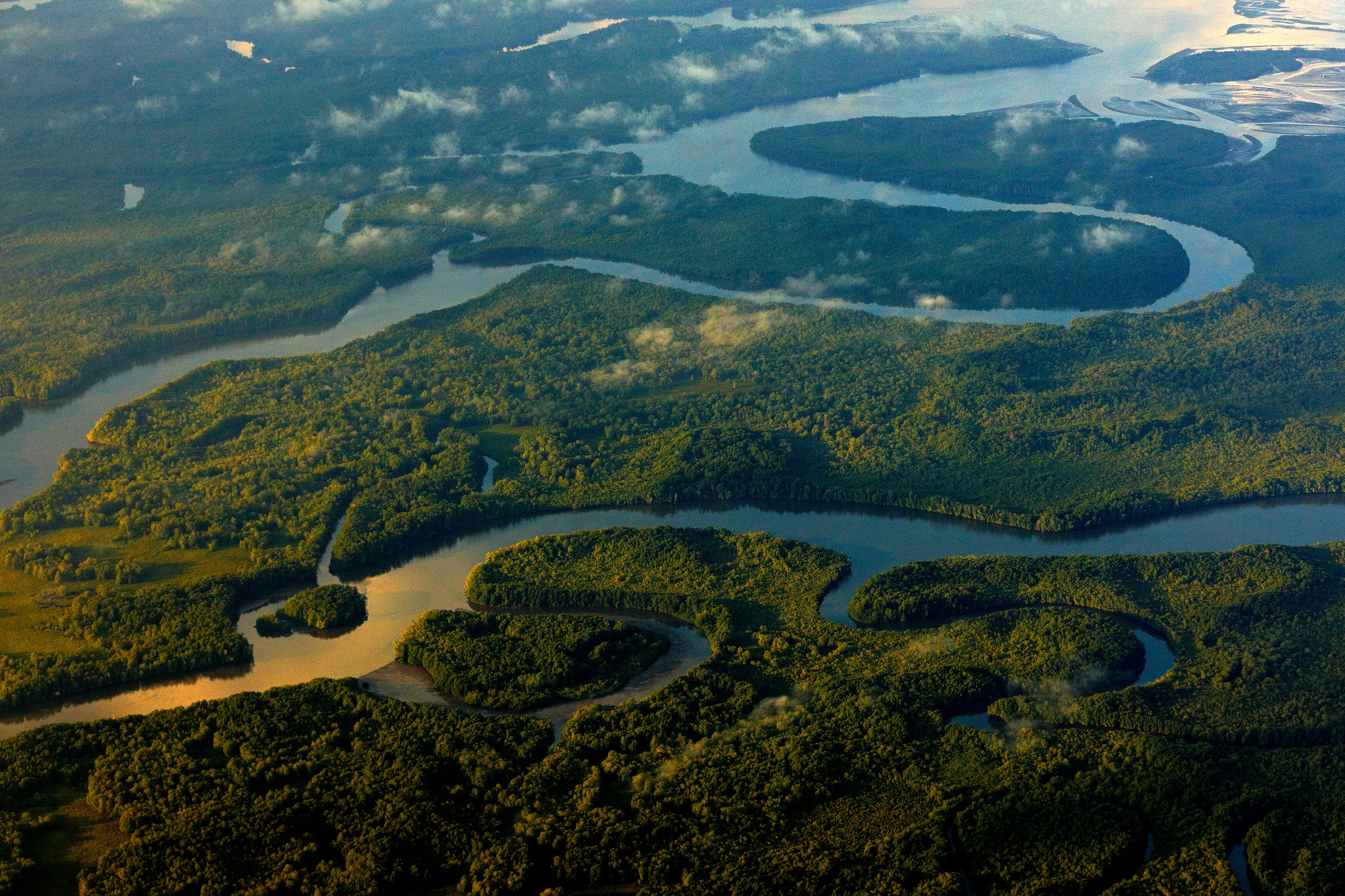 Detalle aéreo de un sector del Parque Nacional Corcovado en Osa, Puntarenas. Esta área silvestre protegida se creó en 1975. Posee el 2,5 % de la biodiversidad del mundo. Fotografía: