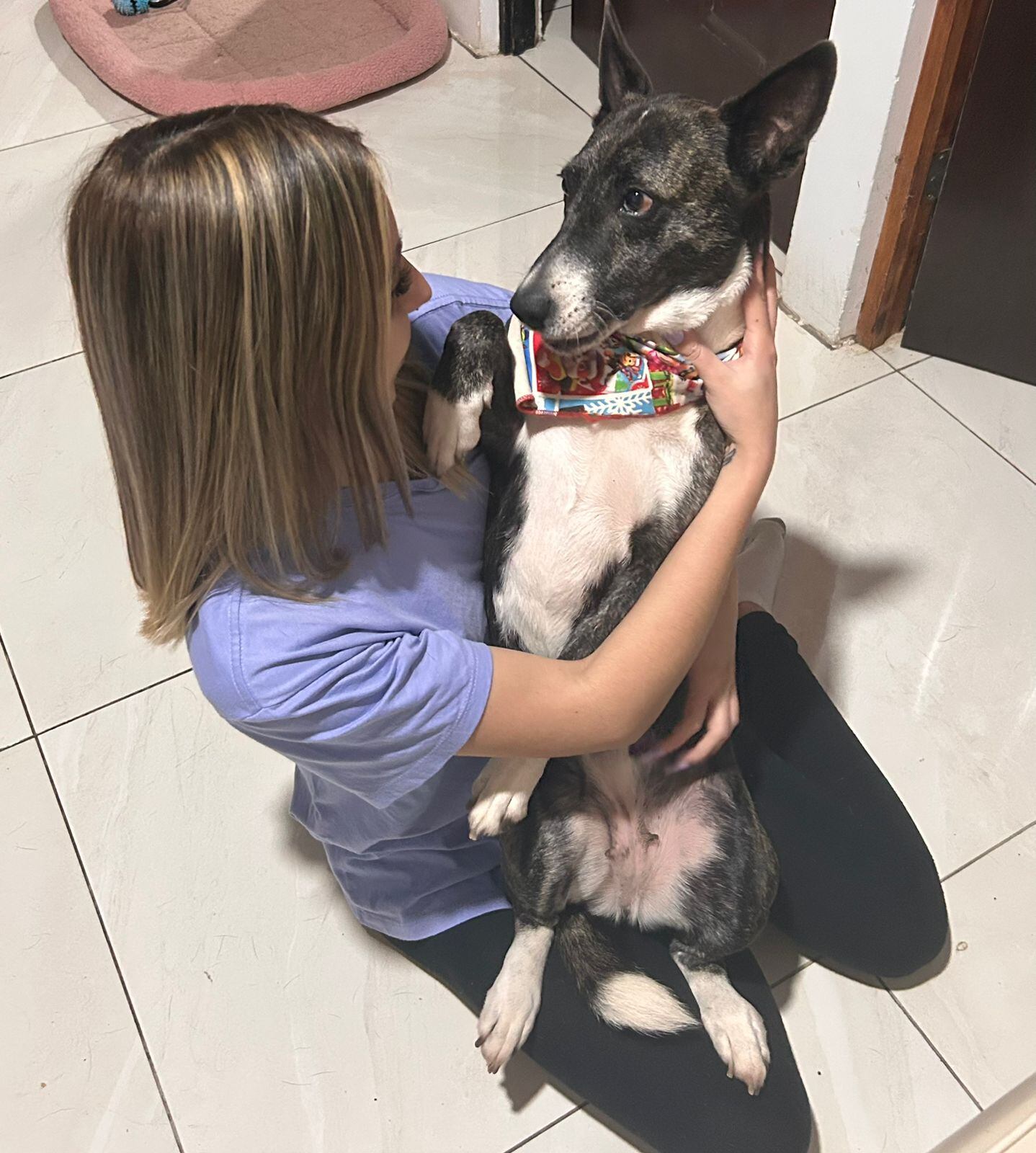 En sus 5 años de vida, Greta, una perrrita de raza zaguatica pura sangre, jamás tuvo una Navidad como la que disfrutará este 2024: en una casita, amada por una familia, con regalitos que abrir, con una cenita especial y mucha felicidad. Ahora la zaguatica tiene mamá, se llama Mariel García Mora, también tiene papá, José Daniel Hernández, incluso tiene abuelito, don William García, quien ni lo pensó para enamorarse de Greta y darle uno de sus primeros regalos: una camita nueva de paquete para que pase las noche calentita y cómoda.