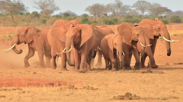Ed Stanford, famoso presentador de Discovery Channel, estuvo de visita por nuestro país
