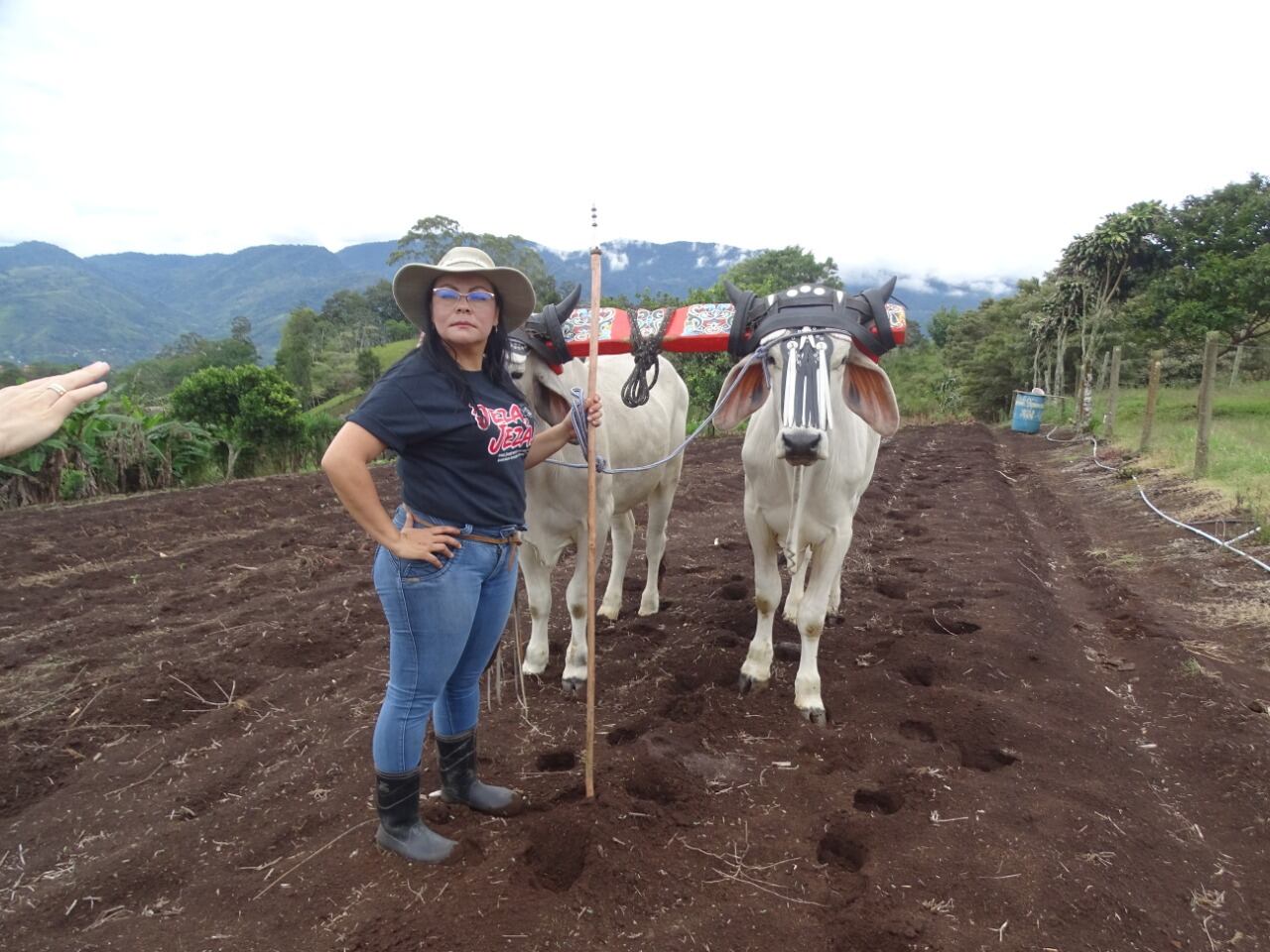 Magaly Molina Vega vive en Birrisito de Paraíso de Cartago y nos confirma que toda la vida ha sido boyera, que prácticamente nació dentro de una carreta y que mientras