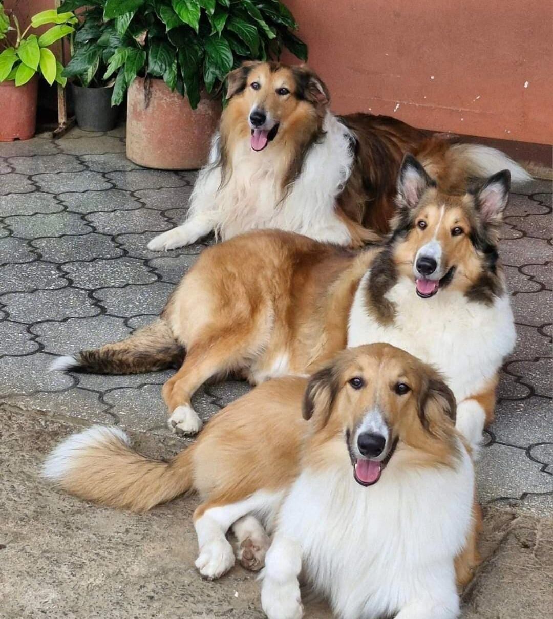 Ron Glezch creador de contenido para La Teja