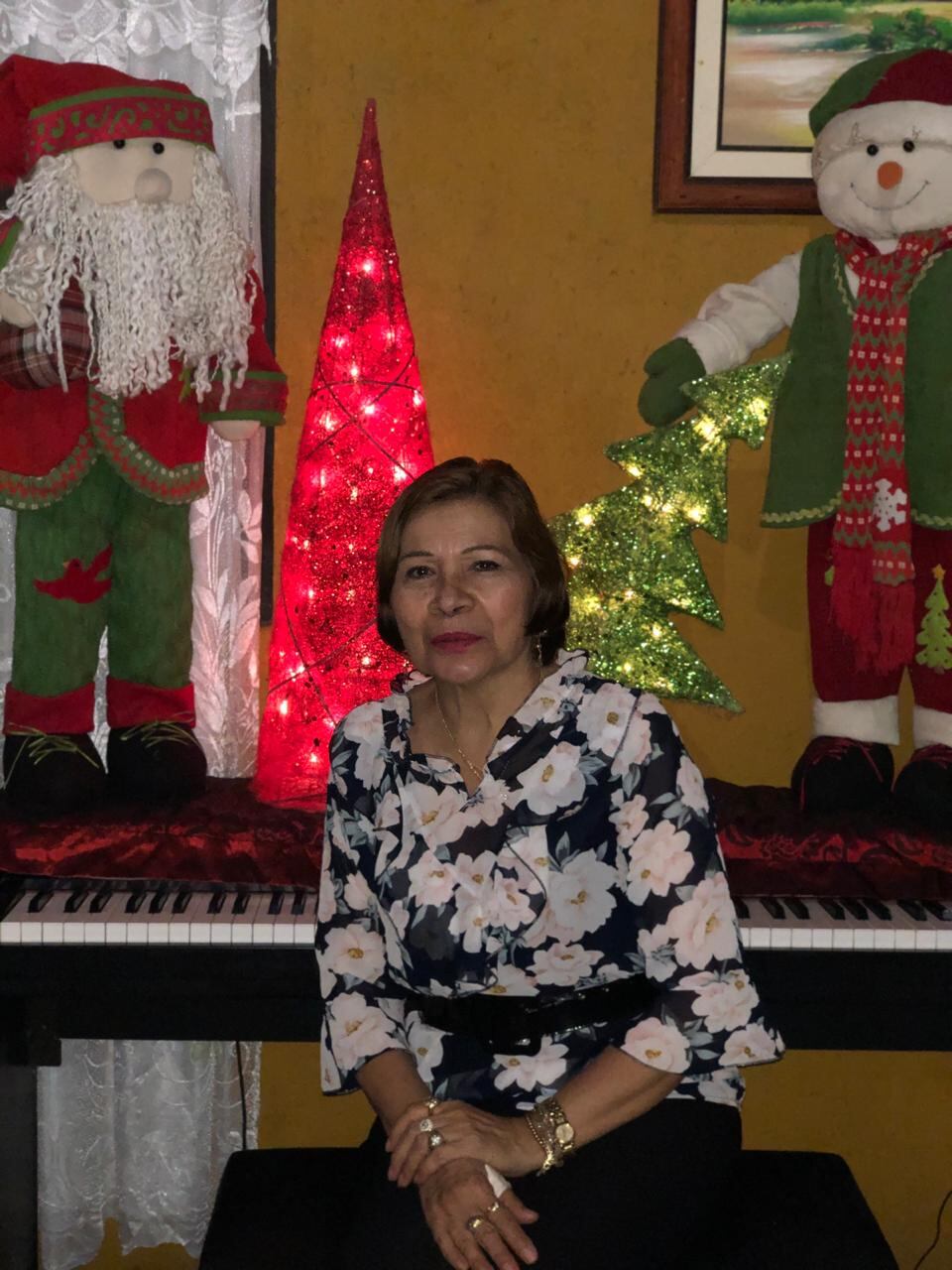 Ana González, quien tiene 63 años y vive en San Antonio de Desamparados, que ella tenía las banderas y escudos de Costa Rica adornando la parte de afuera de la casa, pero por dentro ya todo era navideño.
