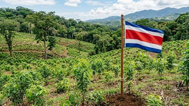 Costa Rica rompe récord mundial que da de qué hablar a nivel internacional