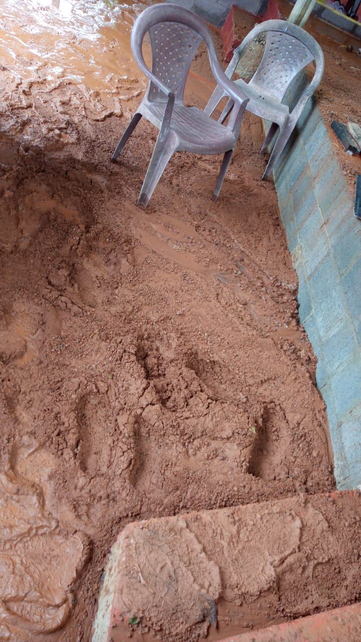 Cocinera sufre porque su casita esta a punto de venirse a bajo por culpa de las lluvias. Foto Keyna Calderón.