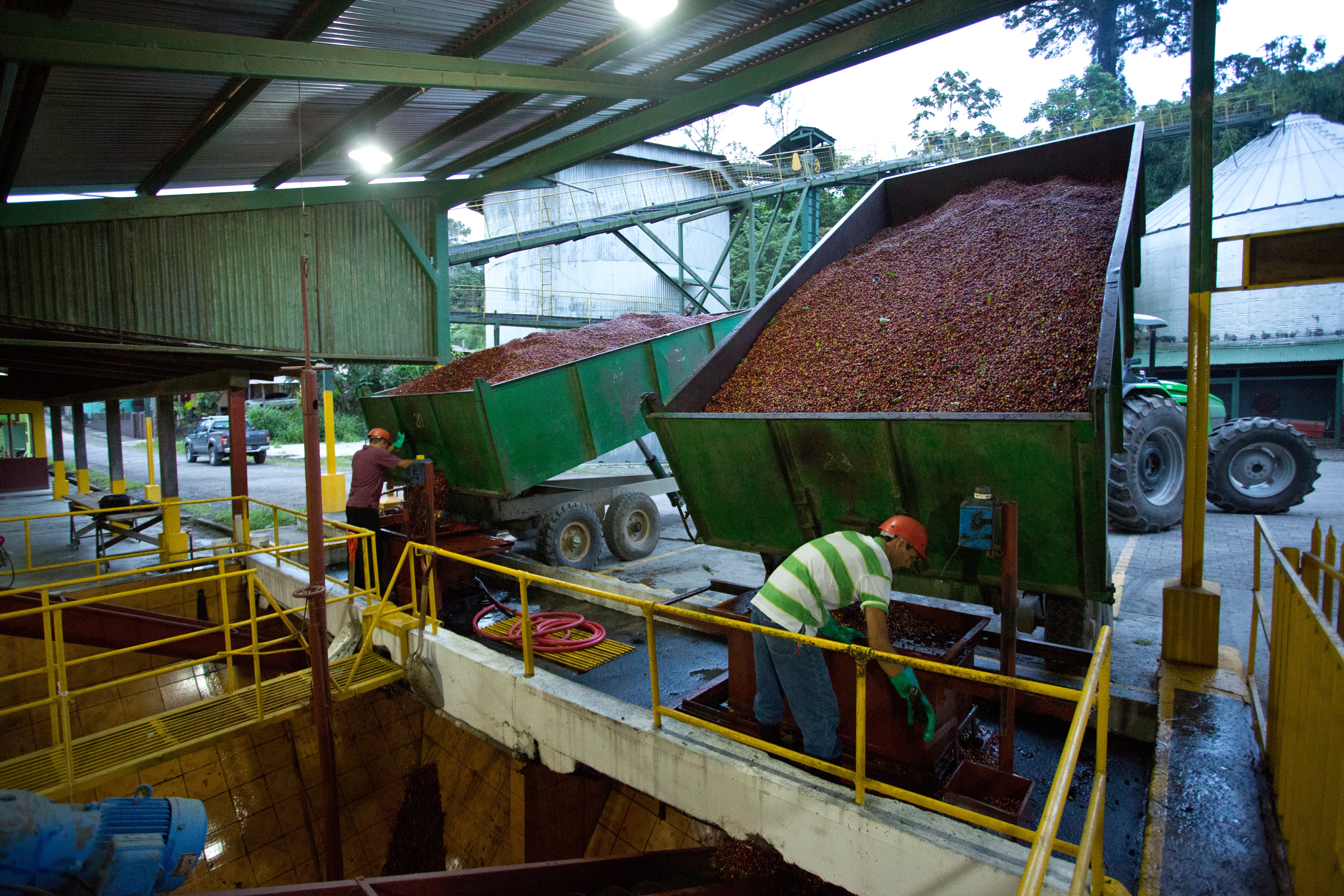 Hacienda Aquiares en Turrialba