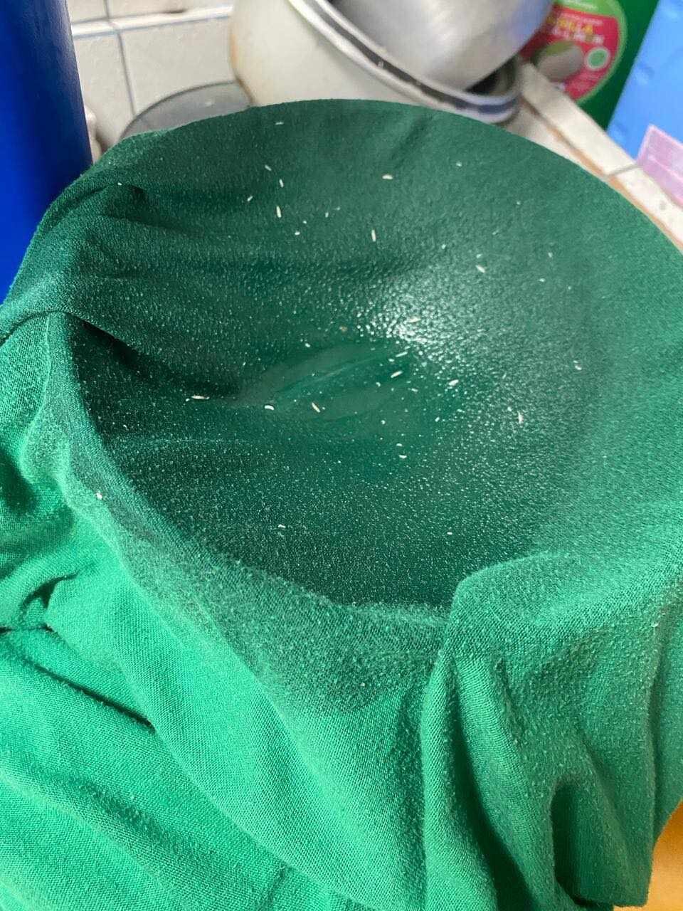 Una vecina de San Juan de Dios encontró gusanos en el agua que le entregaron en un camión cisterna. Cortesía.