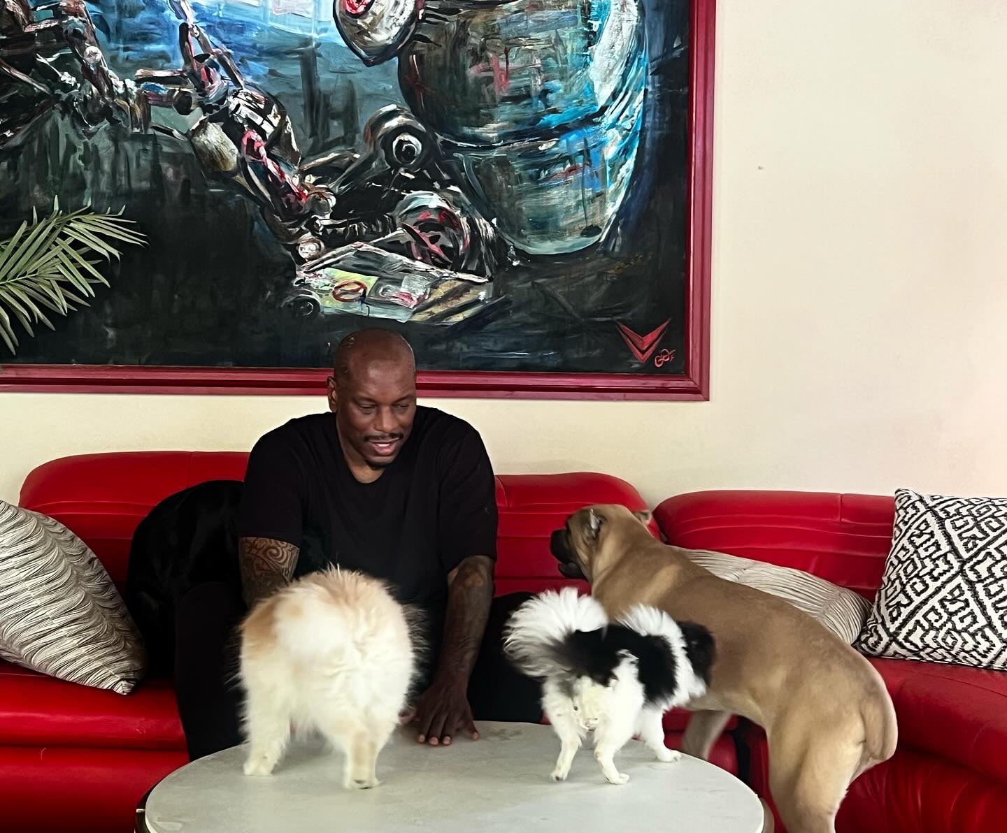 Tyrese Gibson es investigado en Georgia tras la desaparición de sus perros cane corso.