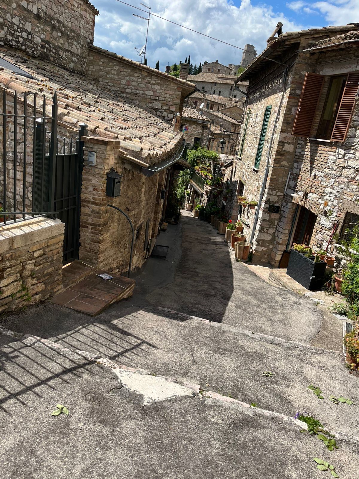 Visita a Asís y cuerpo de Carlo Acutis