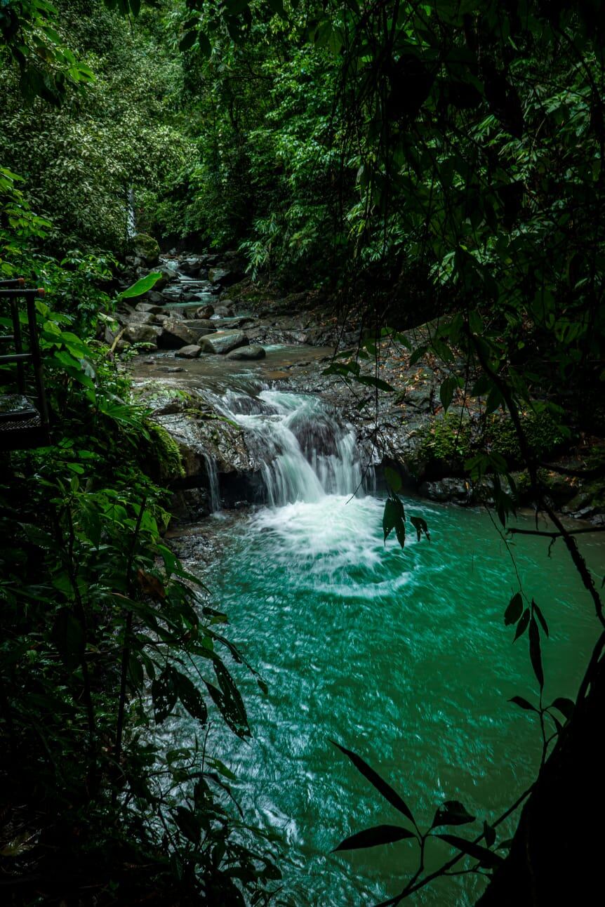 Mariposas, senderos y mucho más lo esperan en mágica catarata por dos mil colones.