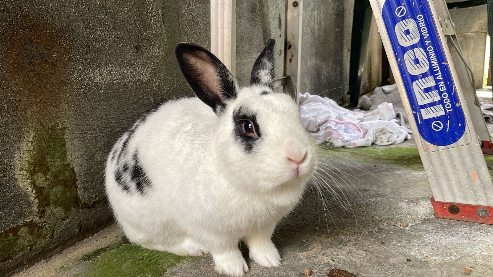 Incendio en Barva de Heredia.