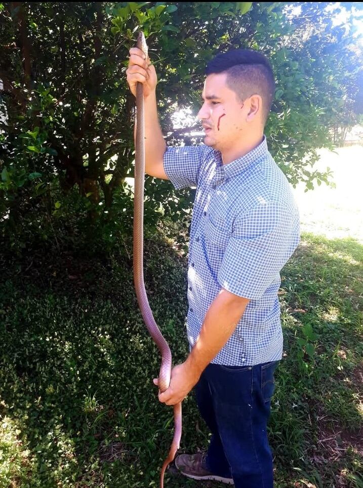 Roberto Poirier, el “Encantador de serpientes” de Turrúcares, quien lleva 34 años en contacto con estos animales, desafiando el miedo y la mala fama que las rodea.