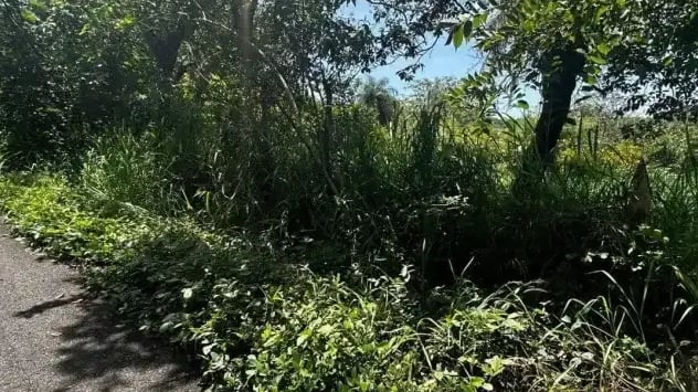 अथेन्समध्ये अनेक