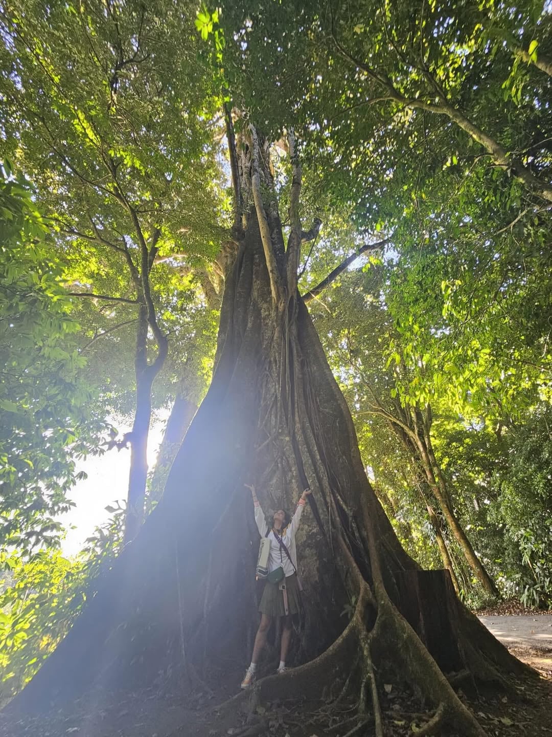 La actriz británica Nathalie Emmanuel, reconocida mundialmente por su papel de Missandei en la serie Game of Thrones y por interpretar a Ramsey en la exitosa saga cinematográfica Fast & Furious