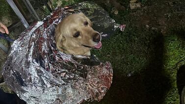 Rescatan a cuatro personas que se perdieron en la montaña, así como al perrito que los acompañaba