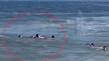 Famoso exjugador y entrenador fue rescatado con sus tres hijos tras ser arrastrados por la corriente