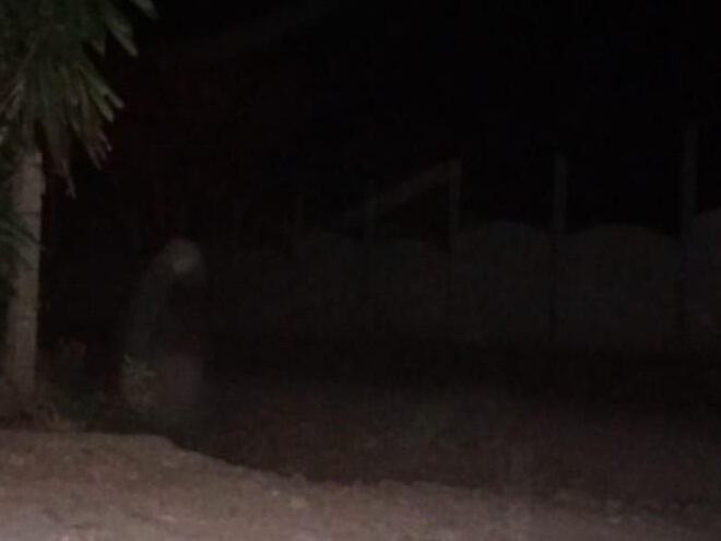 Paranormal Tiquicia en el cementerio de Llano Grande Mora por abuelita que salió en foto