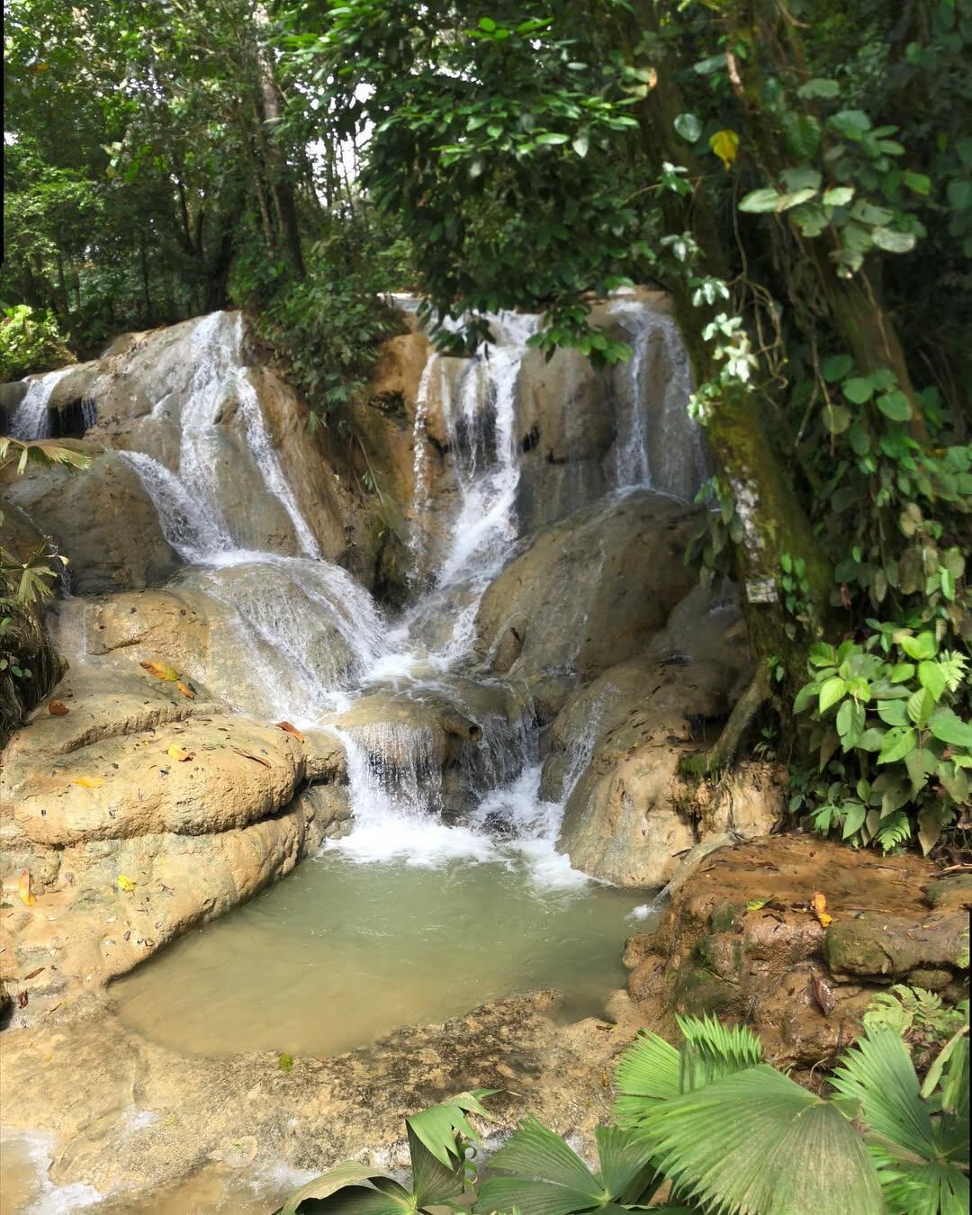 Disfrute de 20 cascadas en un mismo tour que lo atrapará con sus espectaculares vistas.