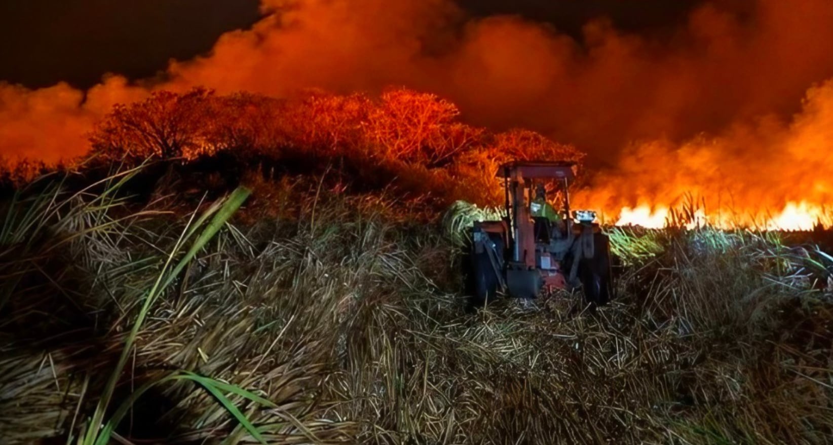 Llamas sobre una sección del Parque Nacional Palo Verde, en Bagaces, Guanacaste, donde equipos de la Cruz Roja Costarricense y bomberos forestales trabajan desde el viernes para controlar el incendio originado por la caída de un rayo en zona de manglar.