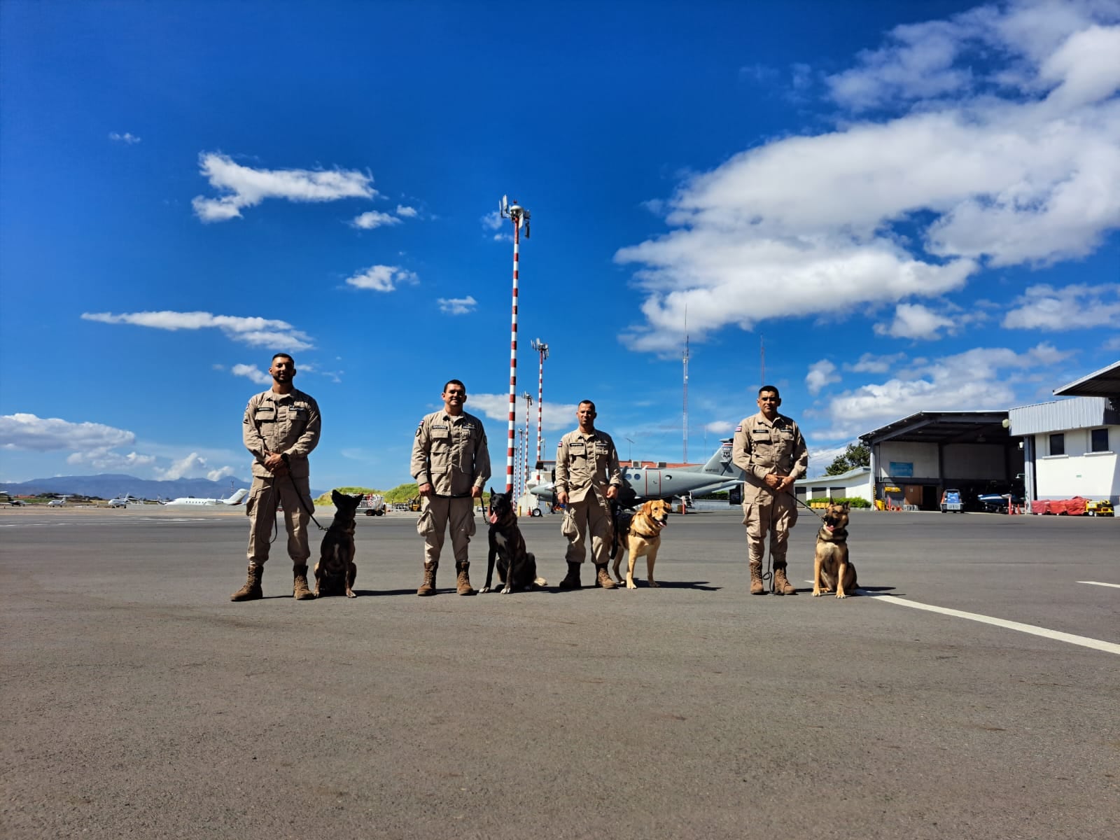 Cuatro agentes caninos del SVA fueron jubilados. Foto MSP.