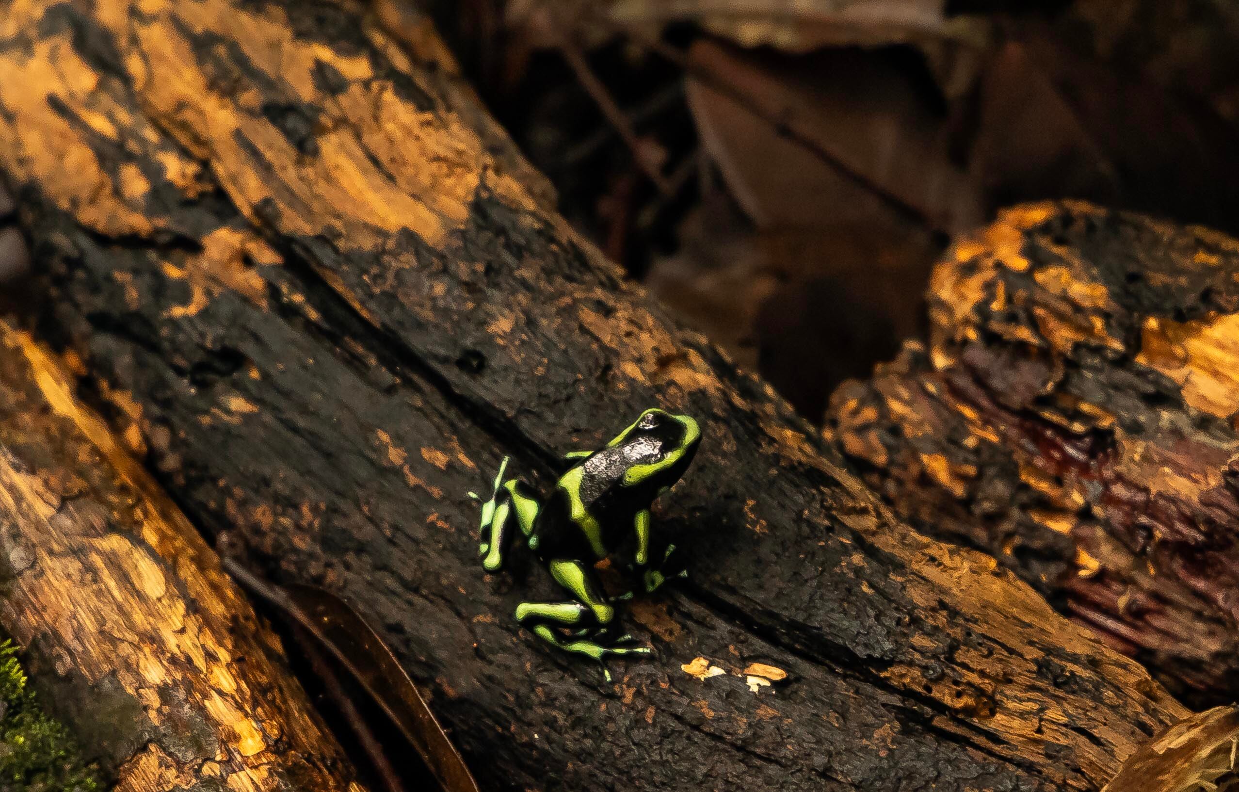 Parques Nacionales Costa Rica