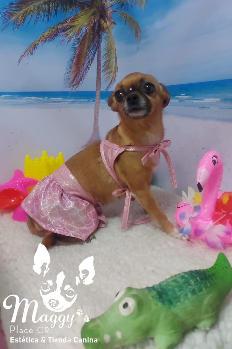 Catalina Alvarado es un ejemplo de cómo con esfuerzo y dedicación se pueden cumplir las metas