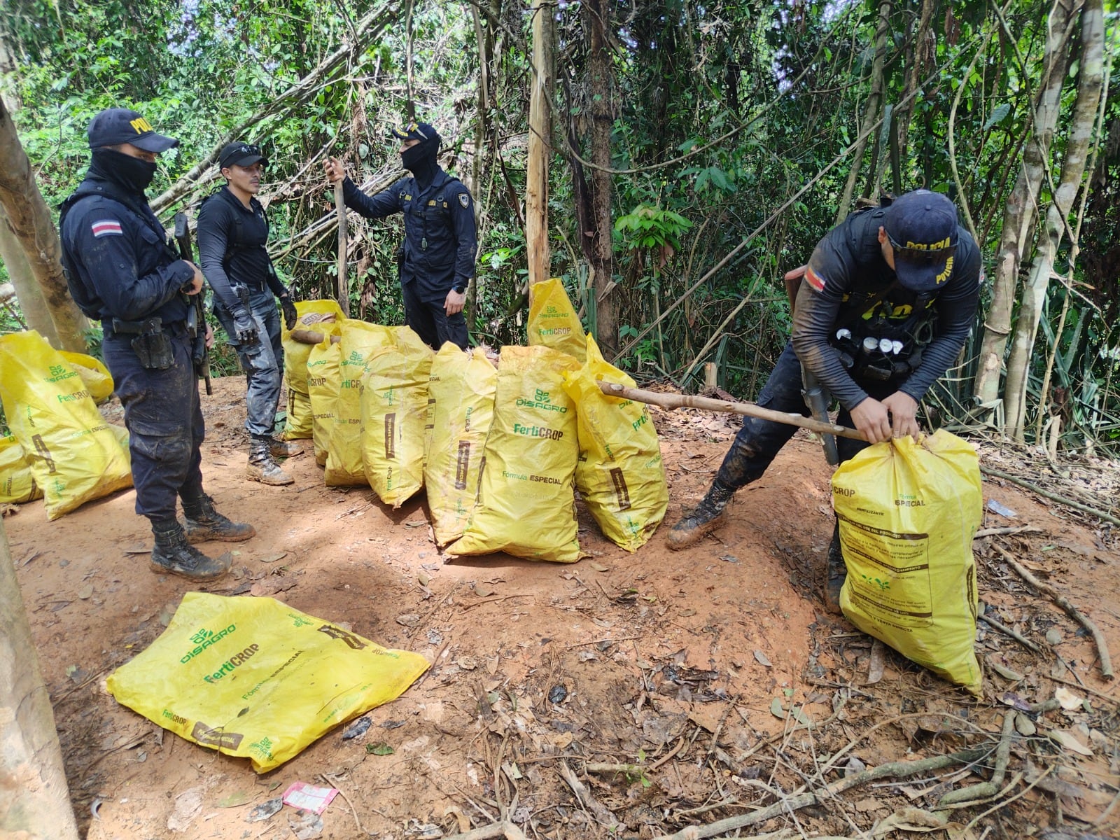 operativos Crucitas 2026