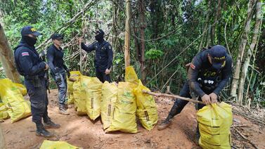 Sala Cuarta ordena acciones inmediatas a varias instituciones ante minería ilegal en Crucitas