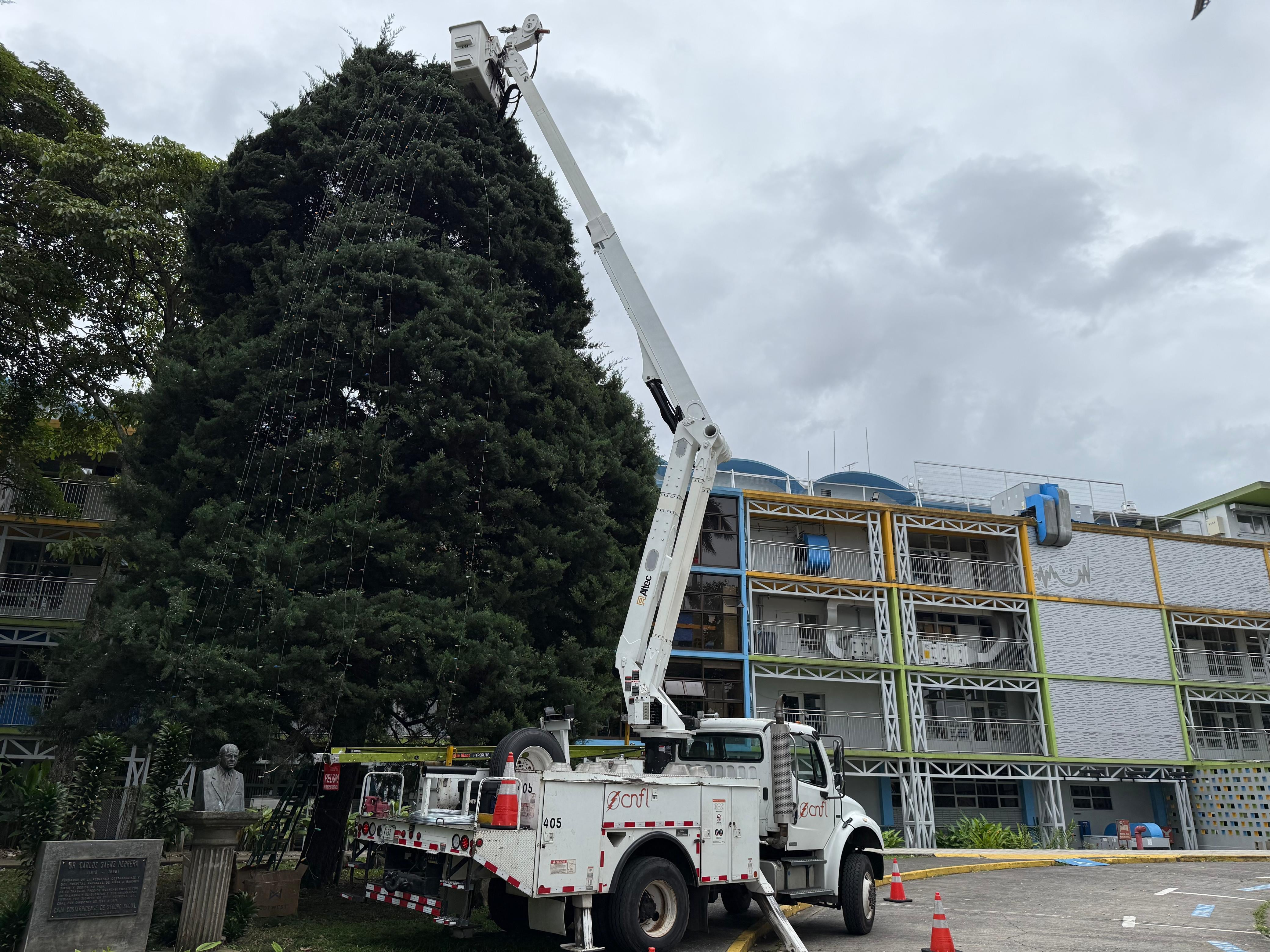 Navidad 2025: La Compañía Nacional de Fuerza y Luz, en noviembre, inició la colocación de luces en el árbol del Hospital de Niños que tendrá su iluminación oficial el 4 de diciembre