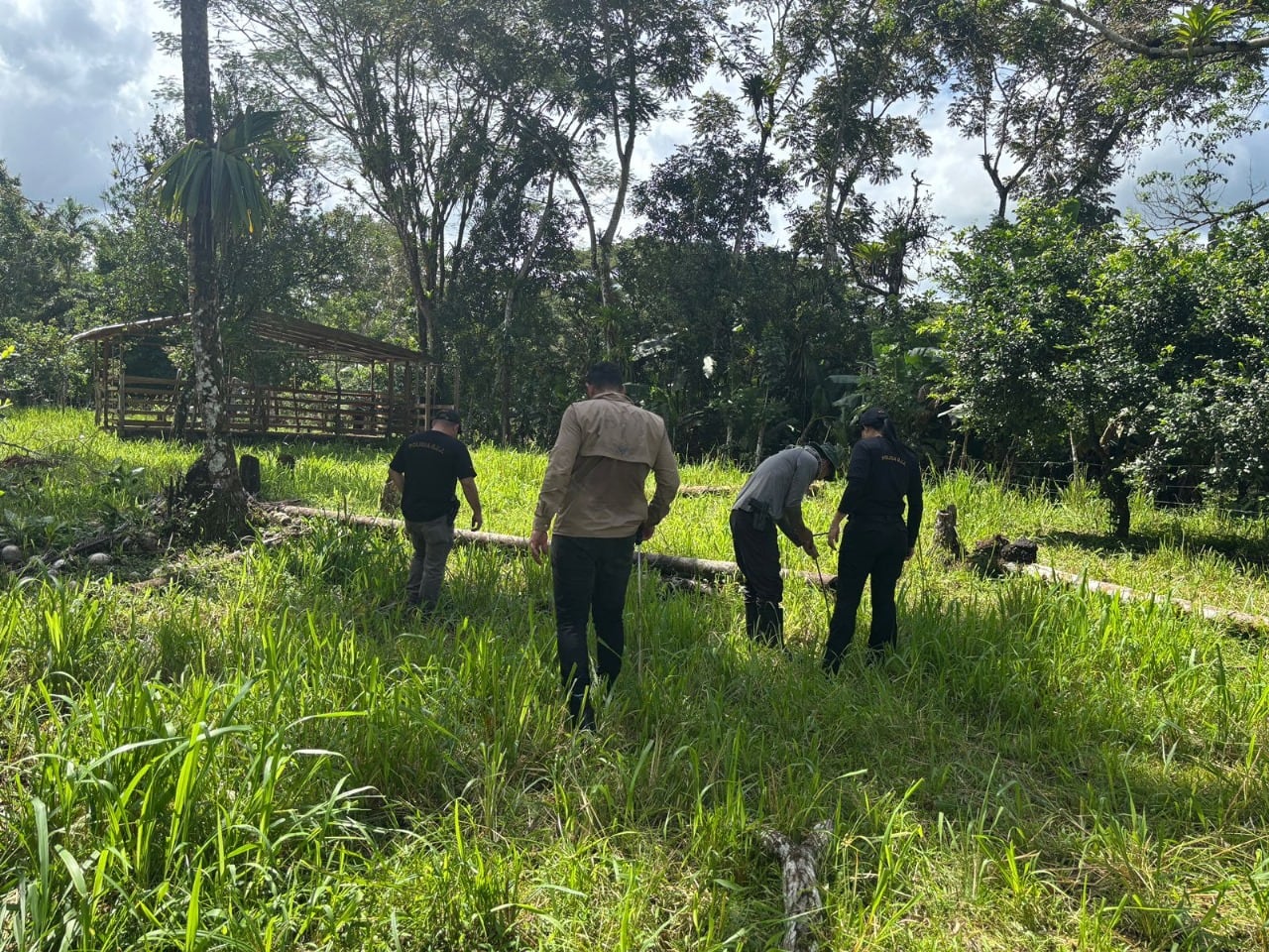 Desaparición y muerte de un sujeto de apellido Kotler de 60 años, un ruso-israelí. Foto: OIJ