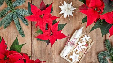 ¿Quiere atraer dinero en Navidad? Estos son algunos rituales que le podrían ayudar, según el Feng Shui